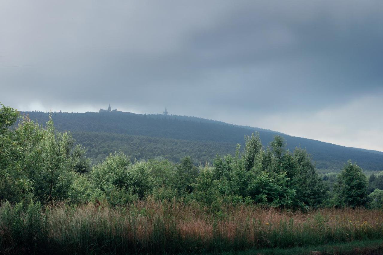 Willa Czarownica Nowa Slupia Exteriör bild