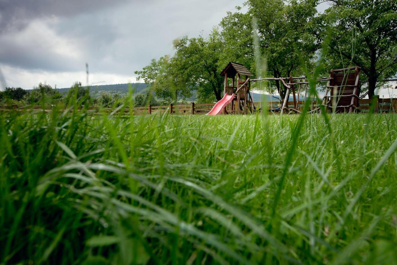 Willa Czarownica Nowa Slupia Exteriör bild